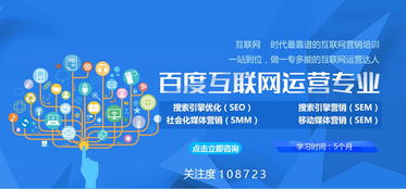 企業(yè)網(wǎng)絡服務 分類與應用全解析