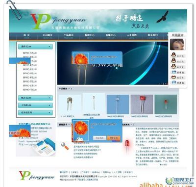 杭州華音科藝網(wǎng)絡 世界工廠網(wǎng)全球企業(yè)庫中的企業(yè)網(wǎng)絡服務專家